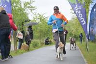Rodzinny Dogtrekking 2026