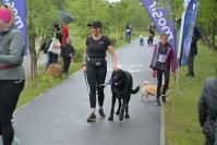 Rodzinny Dogtrekking 2026