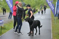 Rodzinny Dogtrekking 2026
