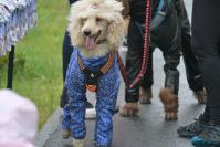 Rodzinny Dogtrekking 2026