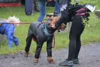 Rodzinny Dogtrekking 2026
