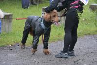 Rodzinny Dogtrekking 2026