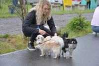 Rodzinny Dogtrekking 2026
