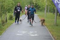 Rodzinny Dogtrekking 2026