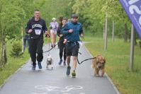 Rodzinny Dogtrekking 2026