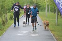 Rodzinny Dogtrekking 2026