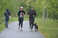 Rodzinny Dogtrekking 2026