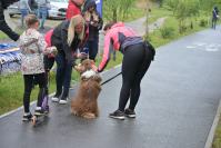 Rodzinny Dogtrekking 2026