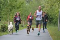 Rodzinny Dogtrekking 2026