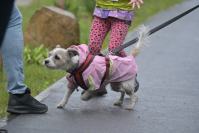 Rodzinny Dogtrekking 2026