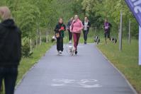 Rodzinny Dogtrekking 2026
