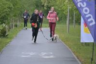 Rodzinny Dogtrekking 2026