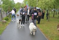 Rodzinny Dogtrekking 2026