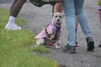 Rodzinny Dogtrekking 2026