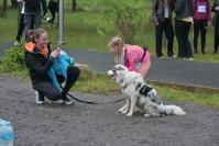 Rodzinny Dogtrekking 2026