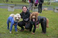 Rodzinny Dogtrekking 2026