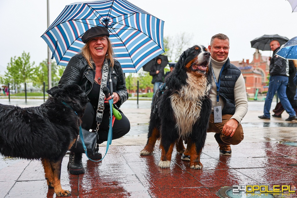 Dni Opola
