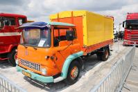 22. Ultor Master Truck