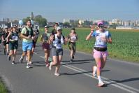 Półmaraton Opole 2026