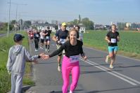 Półmaraton Opole 2026