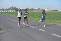Półmaraton Opole 2026
