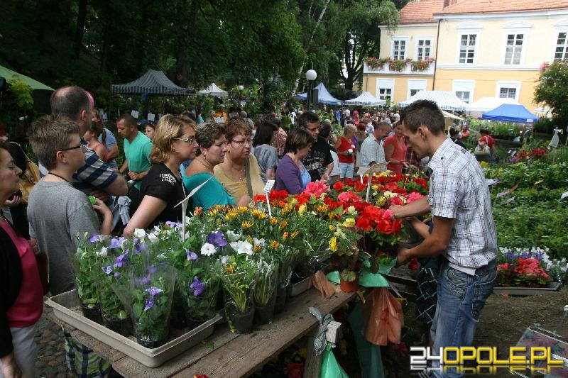 24opole.pl