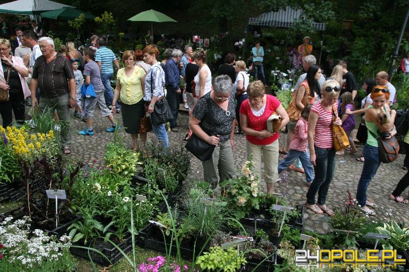 24opole.pl