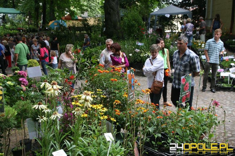 24opole.pl