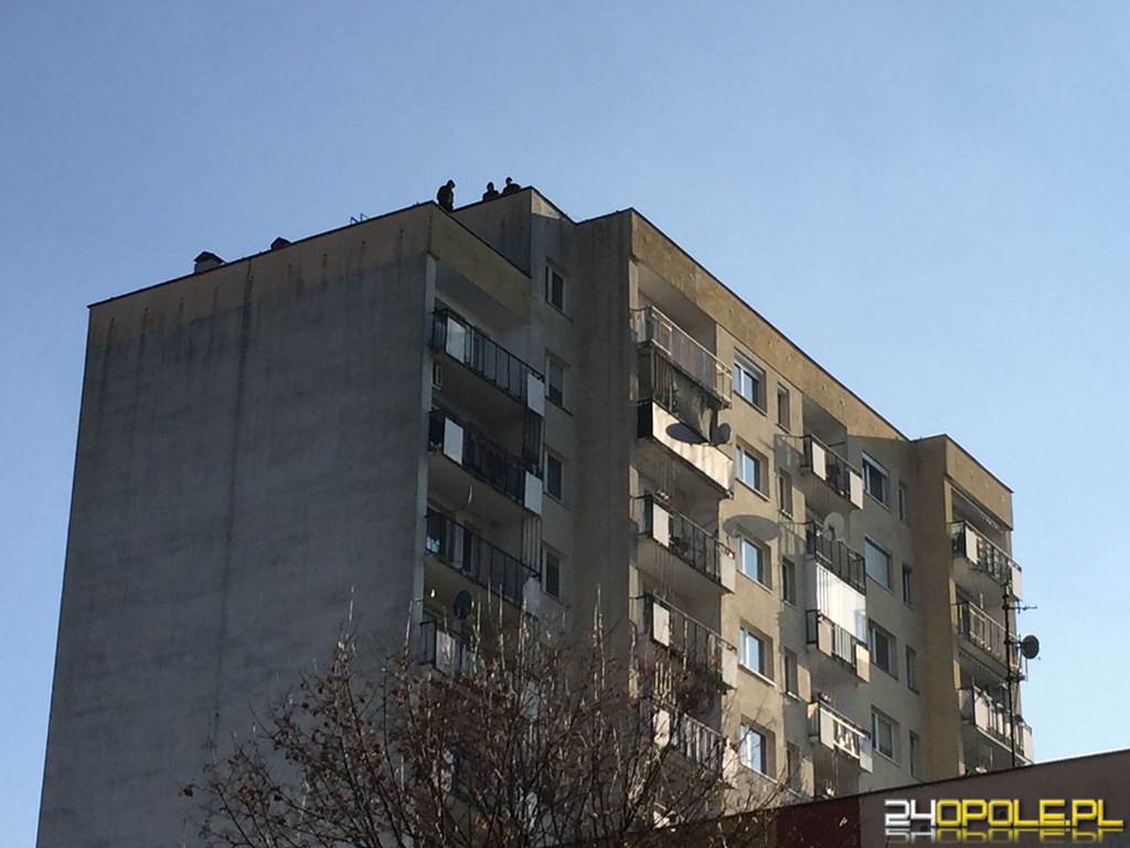 24opole.pl