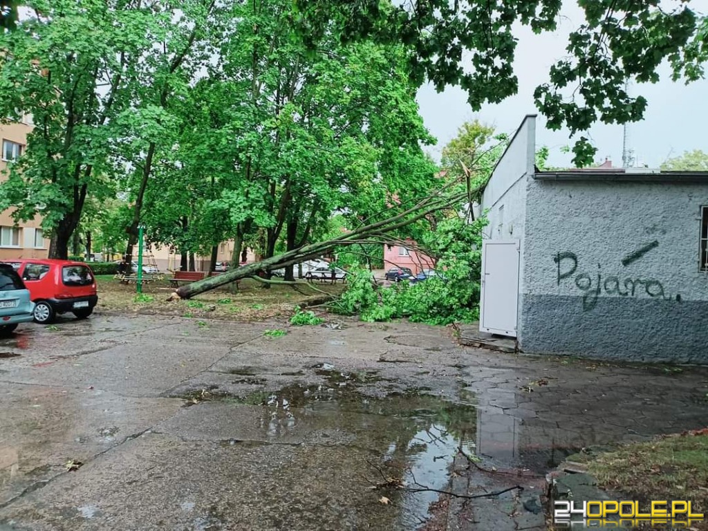 24opole.pl