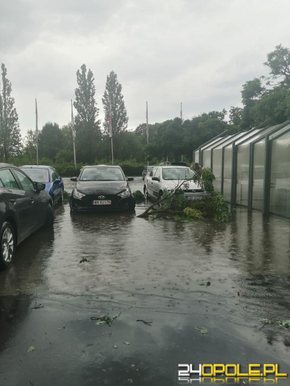 24opole.pl