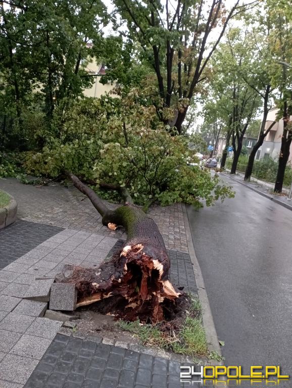 24opole.pl