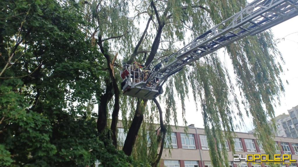 24opole.pl