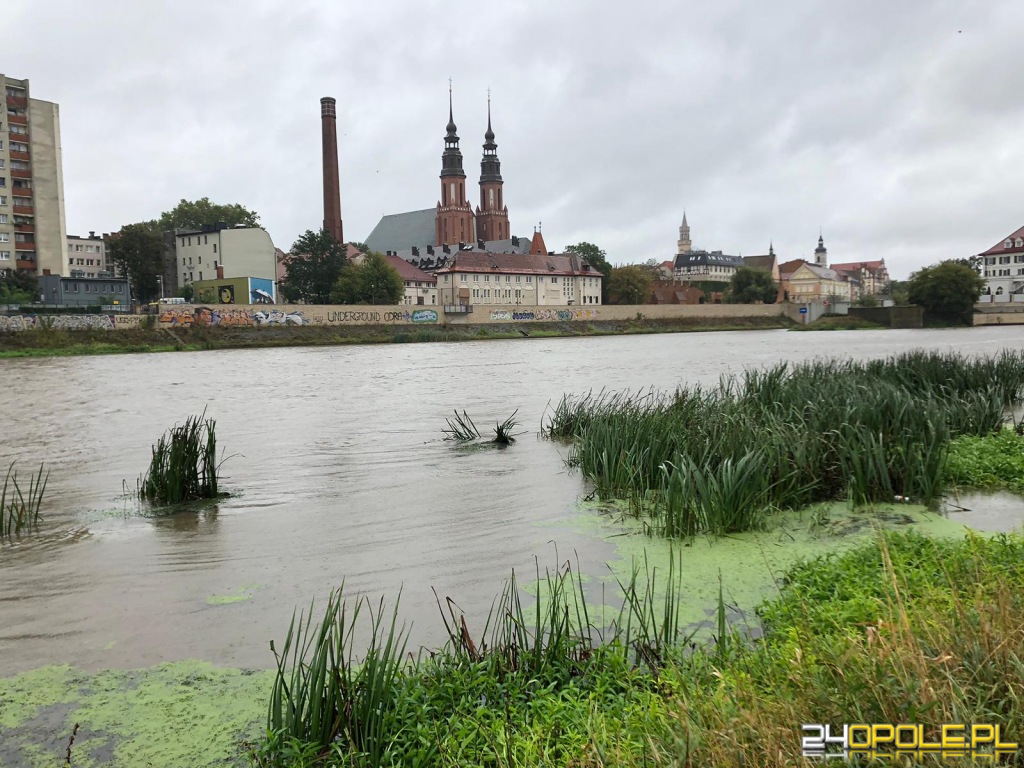 24opole.pl