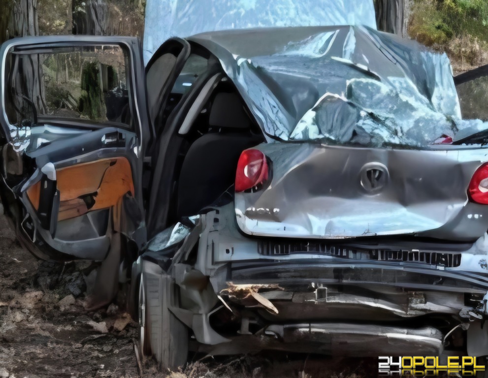 Śmiertelny wypadek w Zagwiździu. Nie żyje 17 i 18-latek