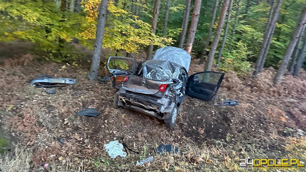 Śmiertelny wypadek w Zagwiździu. Nie żyje 17 i 18-latek
