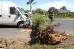 Drzewo przewróciło się na samochód