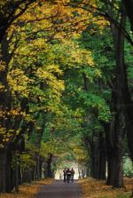 Podejmij wyzwanie - to już w tę sobotę!