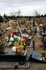 Bestialski wandalizm na cmentarzu w Zdzieszowicach