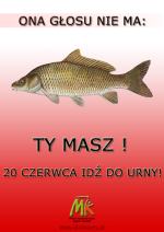 Idź do urny - przekonują Młodzi Konserwatyści