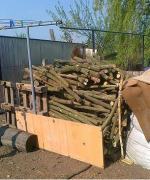 Złodzieje drzewa zatrzymani podczas kradzieży