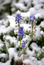  Zima wróciła na Opolszczyznę