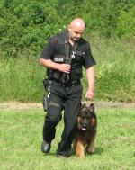 Policyjne psy i ich przewodnicy na zawodach