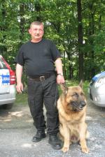 Policyjne psy i ich przewodnicy na zawodach