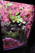 Nowy pawilon z płazami w opolskim zoo