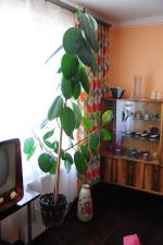 Tak się mieszkało w PRL – u