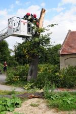 Strażacy wycięli drzewo, w które uderzył kierowca