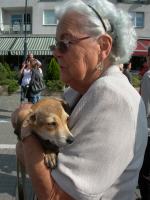 Marsz miłośników zwierząt