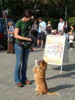 Marsz miłośników zwierząt