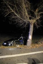 Szok! Kierowca po wypadku zawisł na drzewie